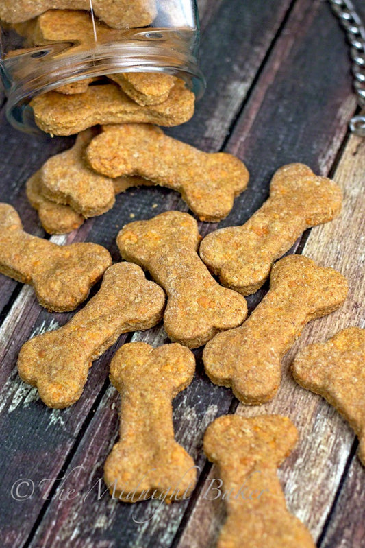 CBD Salmon Flavor Dog Treats - COMING SOON!